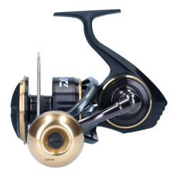 Daiwa BG MQ 8000 H ARK